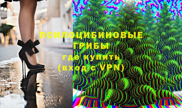 тгк Семёнов