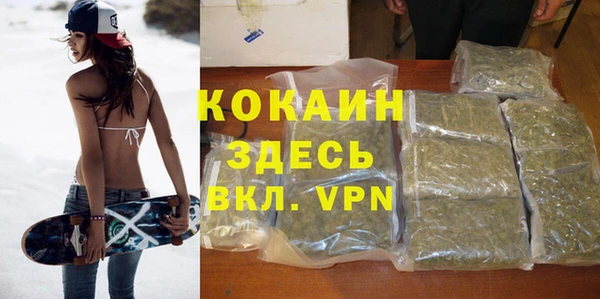 тгк Семёнов