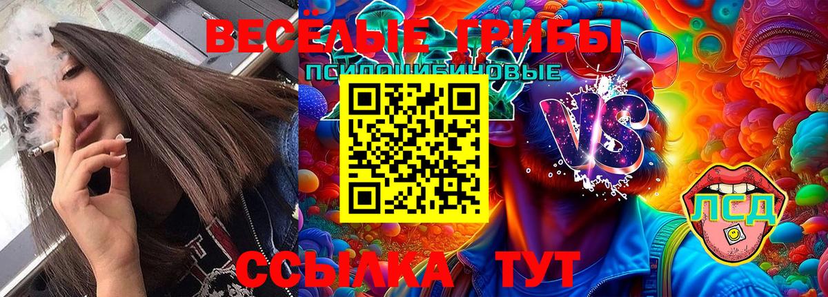 Среднеуральск  Галлюциногенные грибы MAGIC MUSHROOMS  Вход с VPN 