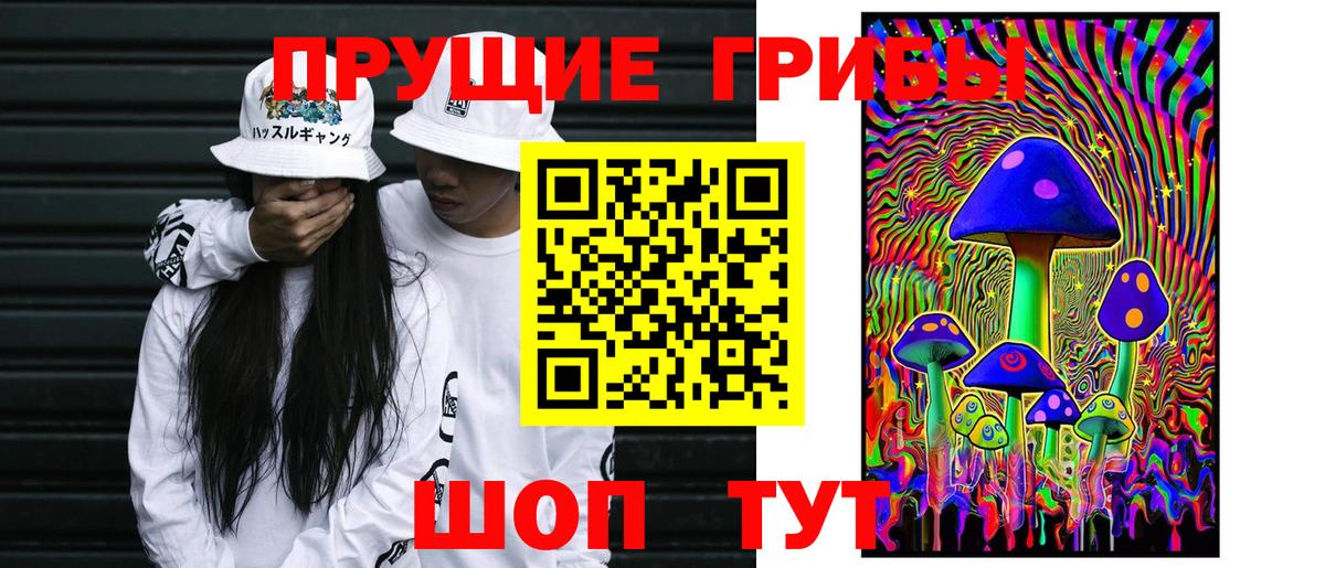 Галлюциногенные грибы Cubensis Среднеуральск