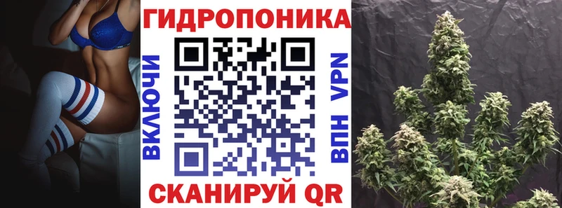 Шишки марихуана конопля Среднеуральск
